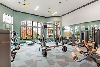 Peloton bikes